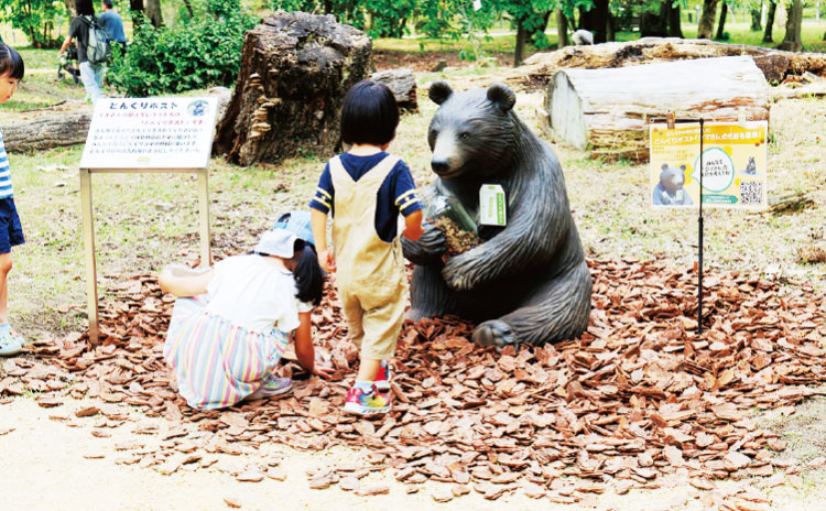 森で拾ったドングリを、クマの「どんちゃん」が持つどんぐりポストに入れて集めよう!