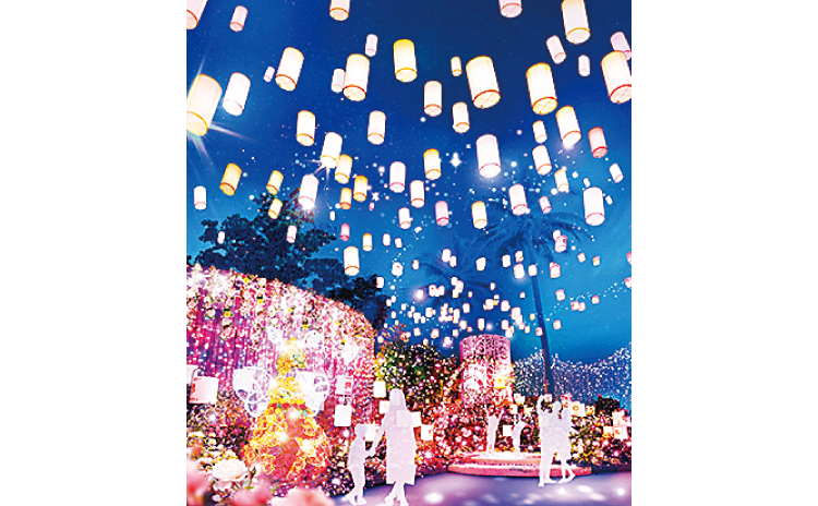 「光の遊園地」~Flowering Illumination Rose~