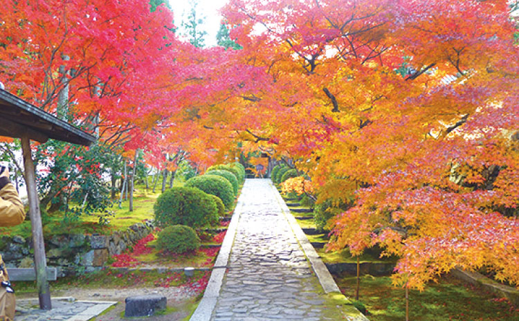赤や黄色に染まる一休寺
