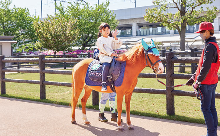 1日かけてたっぷり遊べる公園地区