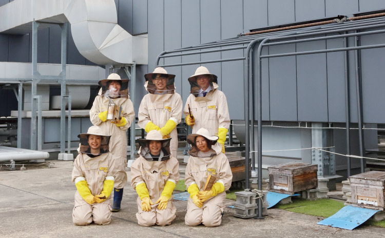 屋上で養蜂見学