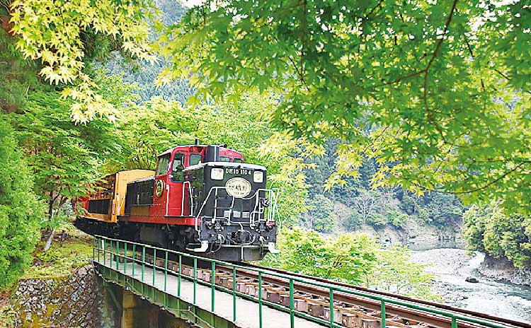 新緑の中を走るトロッコ列車