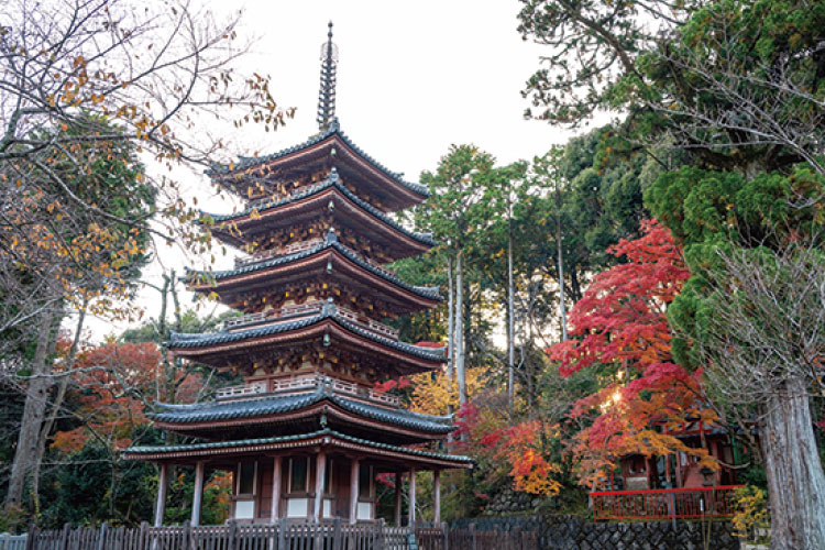 海住山寺の国宝・五重塔