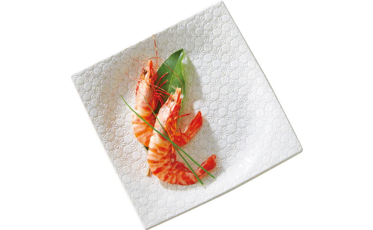 市蔵（白手引き正角皿7.5寸）