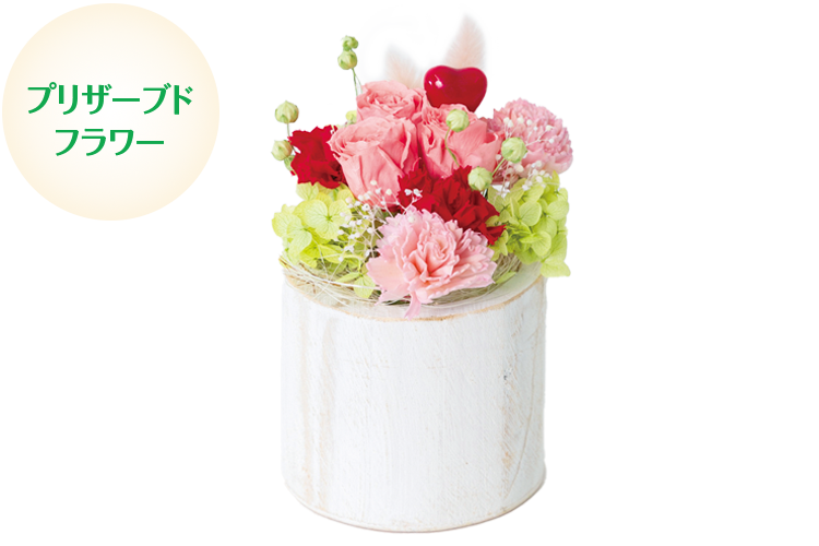 「カンパネラM／3,850円」