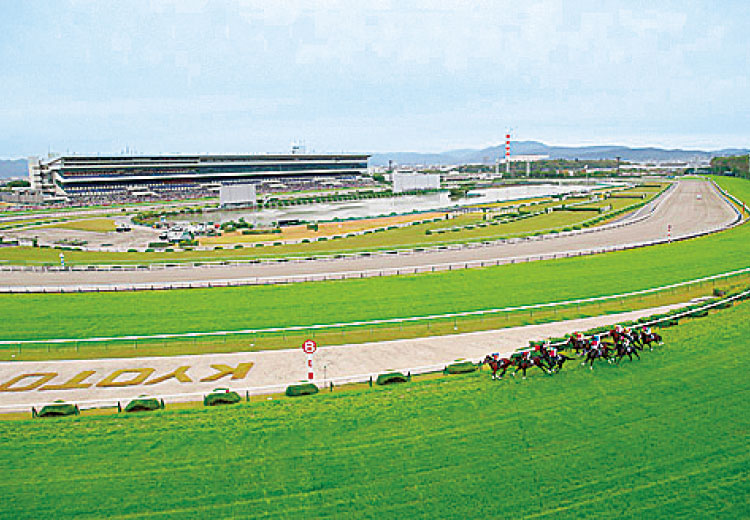 京都競馬場