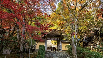 寂光院の紅葉