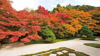 天授庵の紅葉