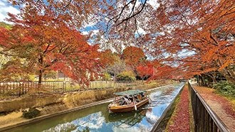 山科疏水（琵琶湖疏水）の紅葉