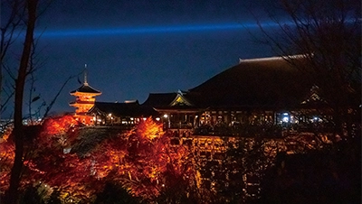 京都・滋賀 紅葉ライトアップ（清水寺）