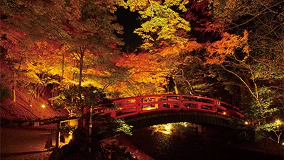 京都・滋賀 紅葉ライトアップ（北野天満宮）
