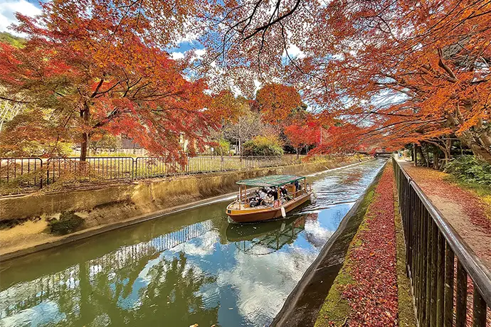 京都 山科疏水（琵琶湖疏水）の紅葉
