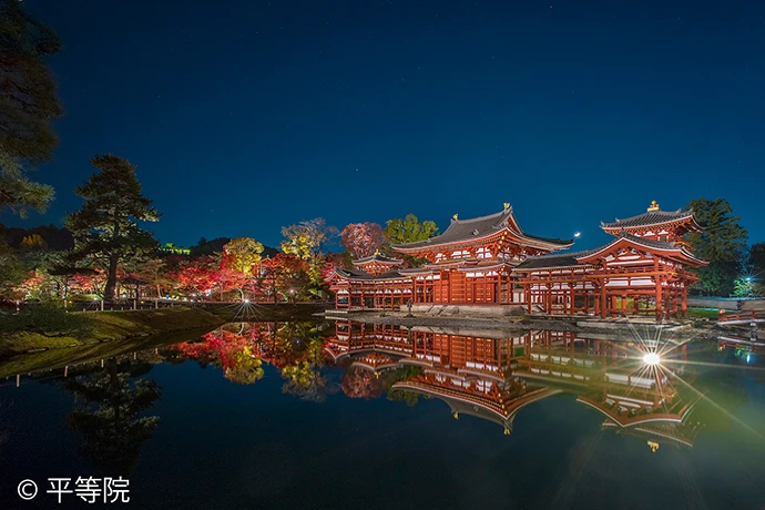平等院の紅葉ライトアップの様子