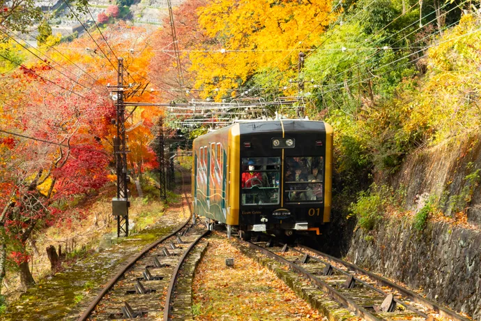 ケーブル八瀬駅の紅葉 見頃情報 | 京都の紅葉 2026 | 京阪グループ