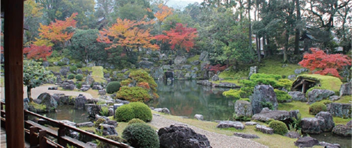 醍醐寺の紅葉の様子