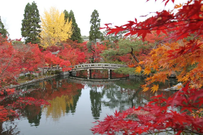 永観堂(禅林寺)の秋の寺宝展の様子