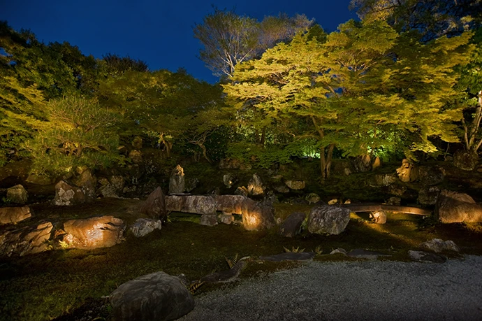 圓徳院の紅葉ライトアップの様子