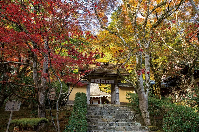 京都 寂光院の紅葉