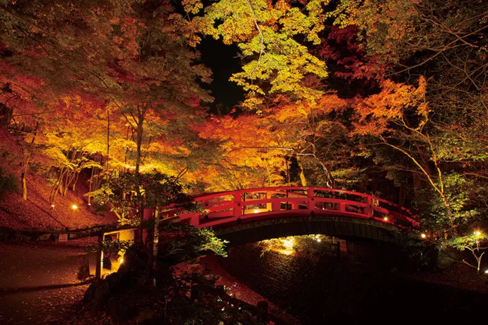 北野天満宮の紅葉ライトアップの様子