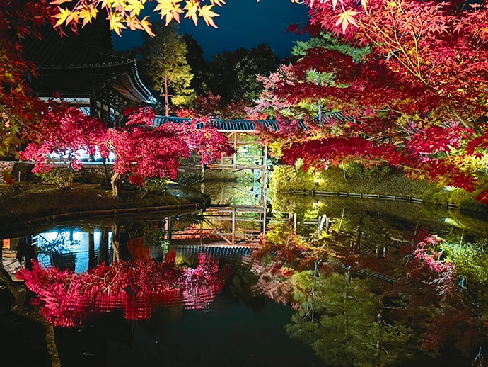 高台寺秋の夜間特別拝観の様子