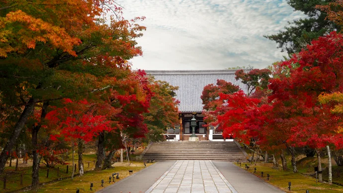 仁和寺の紅葉の様子