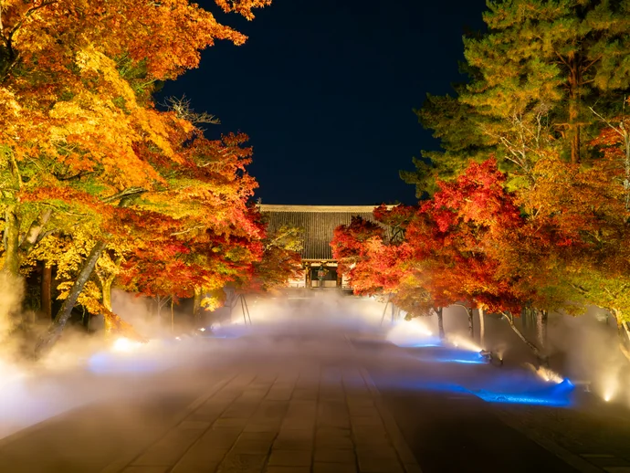 仁和寺の紅葉ライトアップの様子