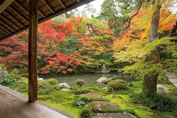 京都 蓮華寺の紅葉