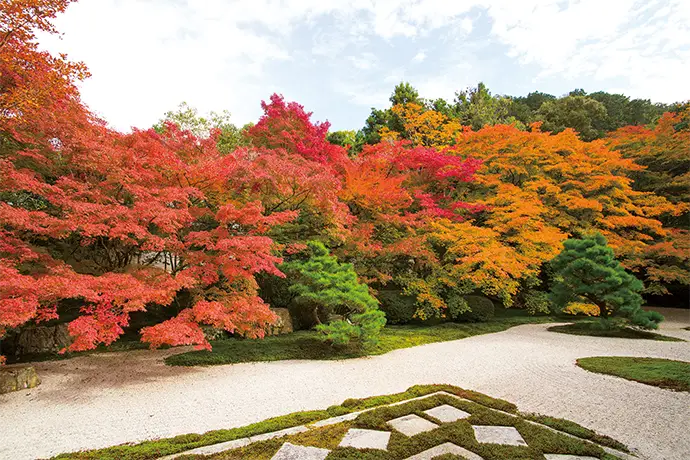 京都 天授庵の紅葉