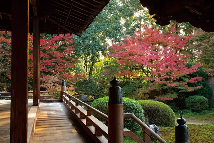 京都 隨心院の紅葉