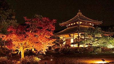 京都・滋賀 紅葉ライトアップ（鹿王院）