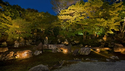 京都・滋賀 紅葉ライトアップ（圓徳院）