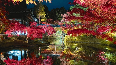 京都・滋賀 紅葉ライトアップ（高台寺）