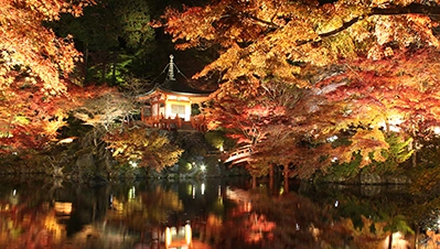 京都・滋賀 紅葉ライトアップ（醍醐寺）