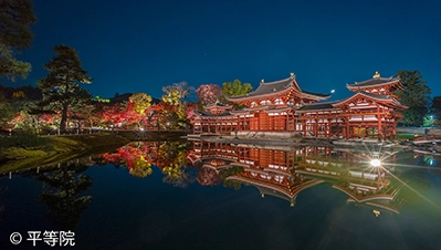 京都・滋賀 紅葉ライトアップ（平等院）