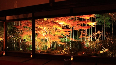京都・滋賀 紅葉ライトアップ（宝泉院）