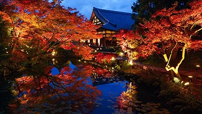 京都・滋賀 紅葉ライトアップ（くろ谷 金戒光明寺）