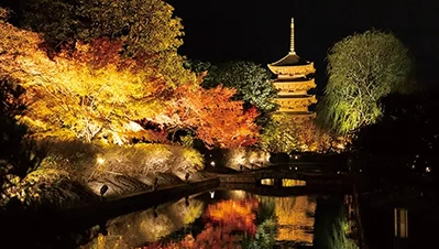 京都・滋賀 紅葉ライトアップ（東寺）