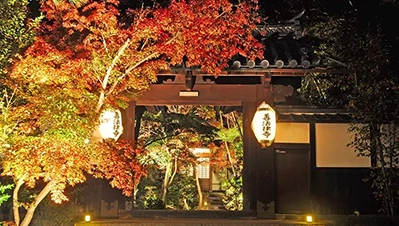 京都・滋賀 紅葉ライトアップ（善法律寺）