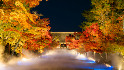 京都・滋賀 紅葉ライトアップ（仁和寺）