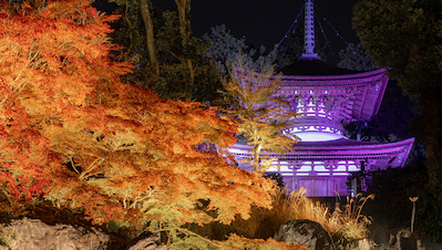 京都・滋賀 紅葉ライトアップ（石山寺）