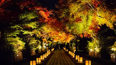 滋賀紅葉ライトアップ（石山寺）