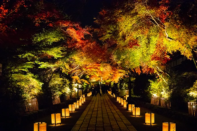 石山寺の紅葉ライトアップの様子