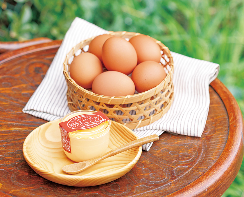 No.210&nbsp;自然豊かな大原で育まれた 平飼い野卵が主役の濃厚プリン