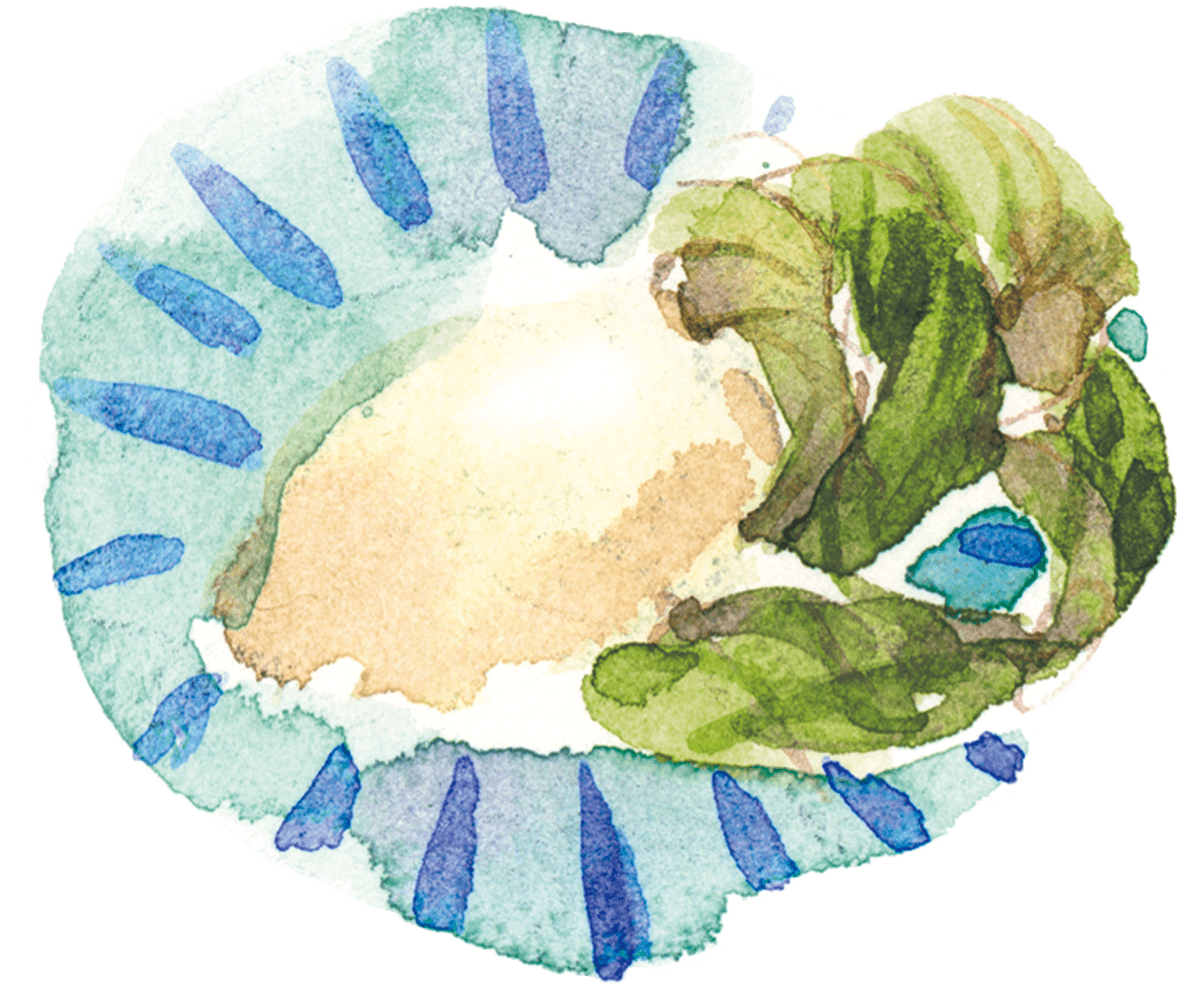 すぐき漬け