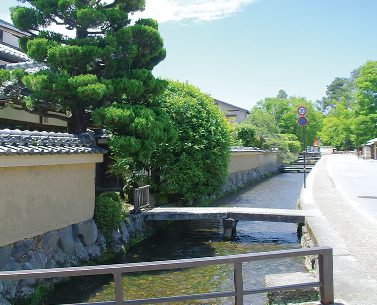 第152回 京の社家(しゃけ)
