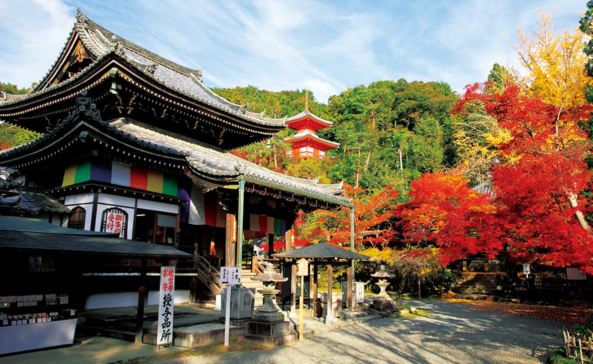今熊野観音寺（いまくまのかんのんじ）