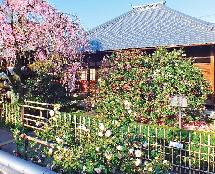 第171回 京都の通称寺