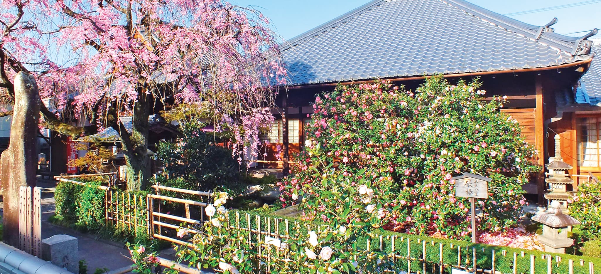 京都の通称寺