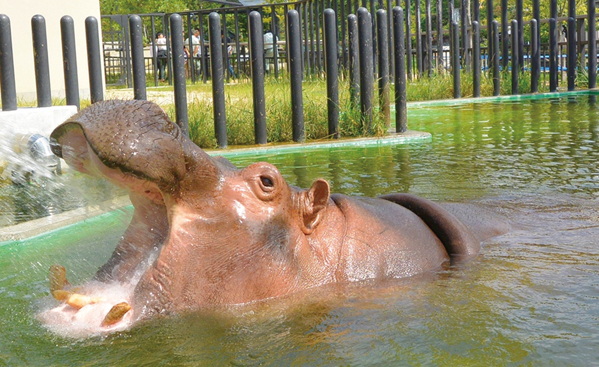 京都市動物園