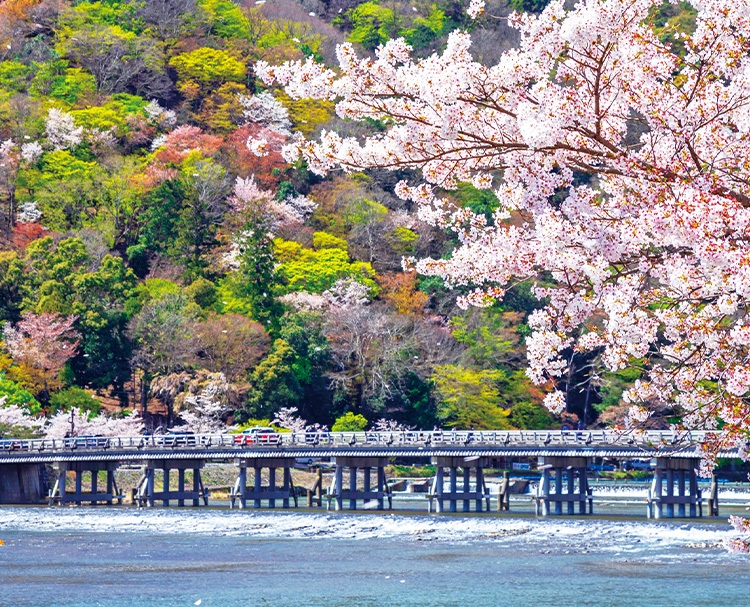 第187回 京の歌枕（うたまくら）の地